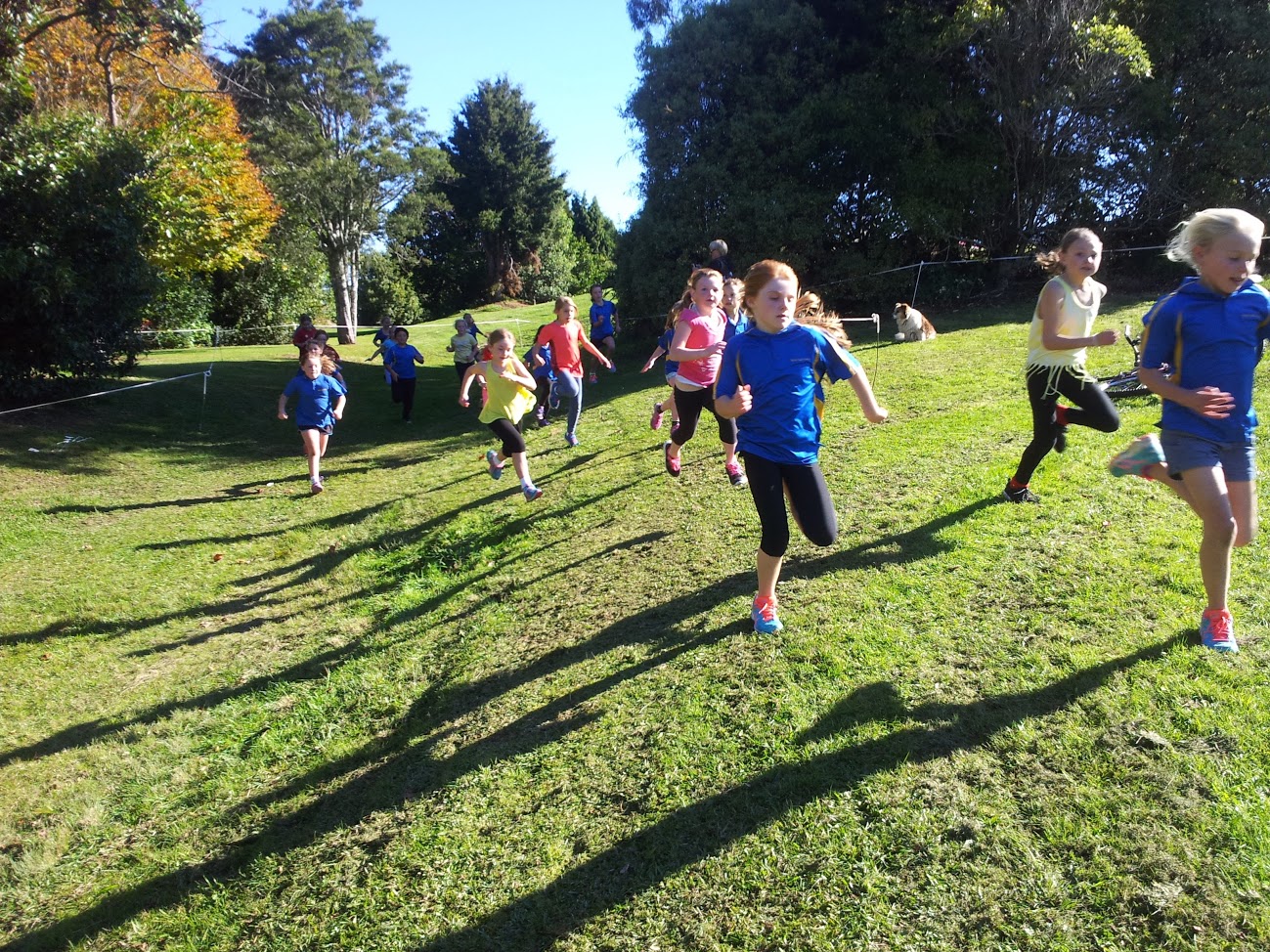 Waihi East School Cross Country (2.06.16)