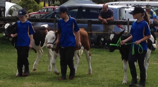 Athletics and Calf Club Group Day